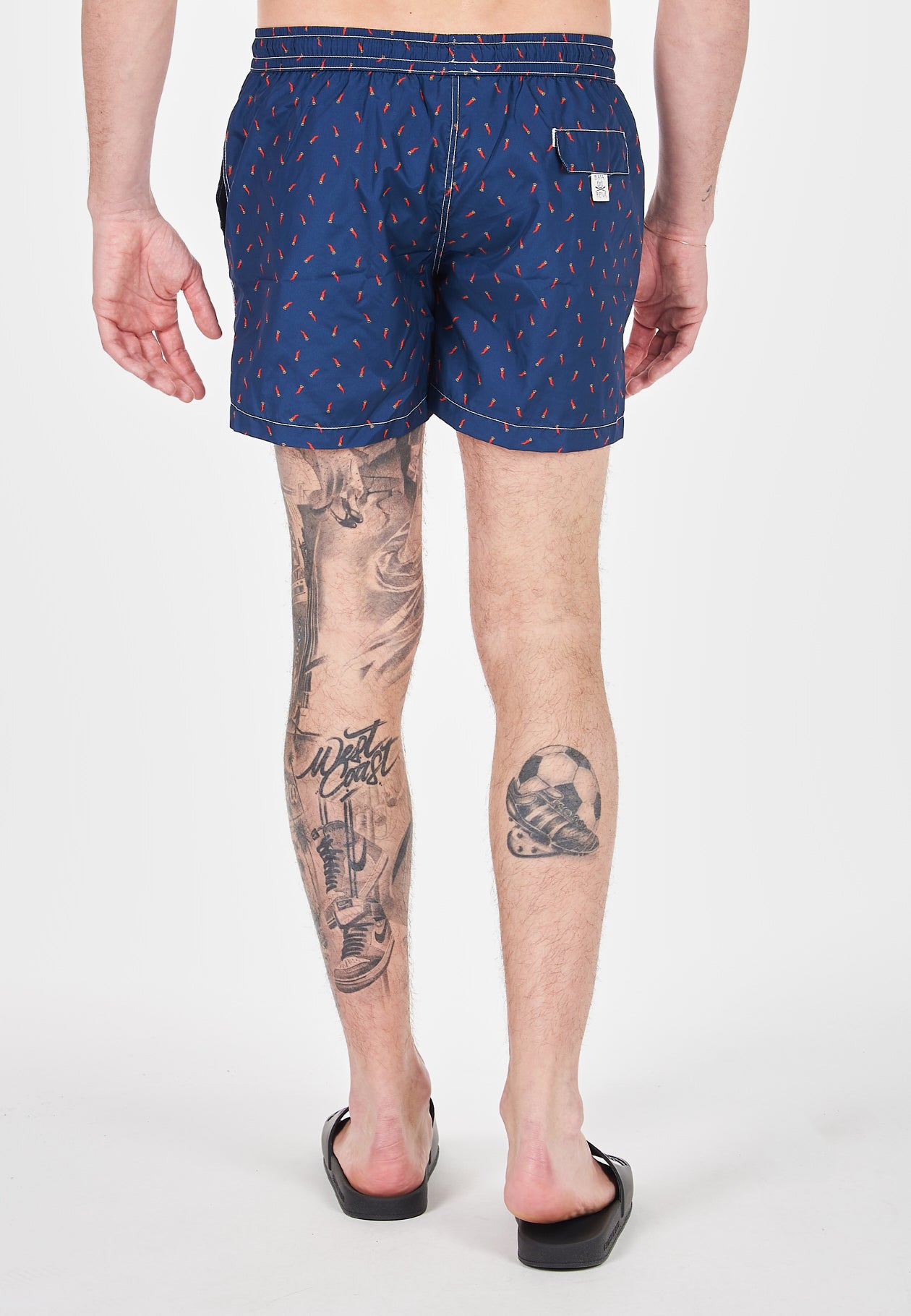 Boxer Mare Capri