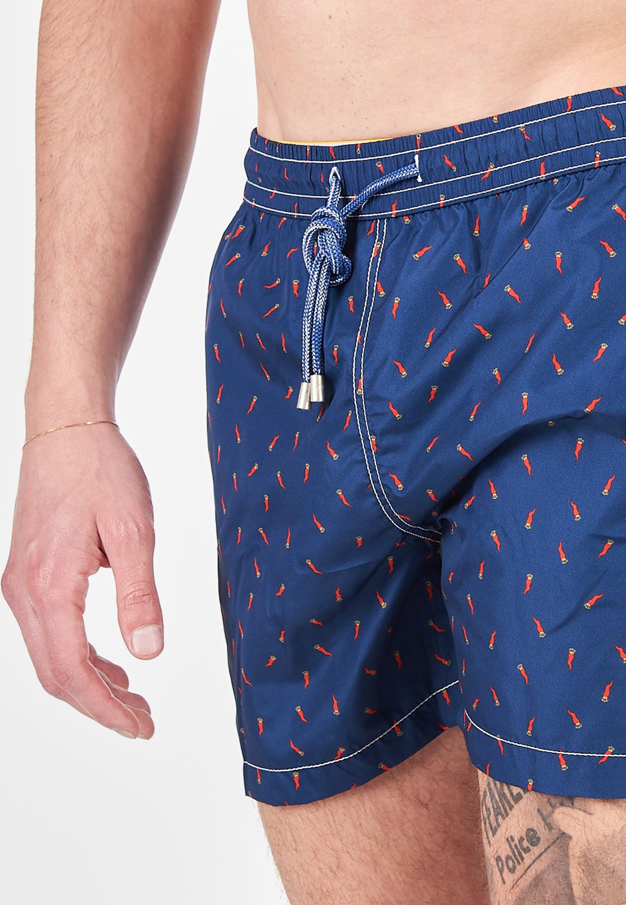 Boxer Mare Capri