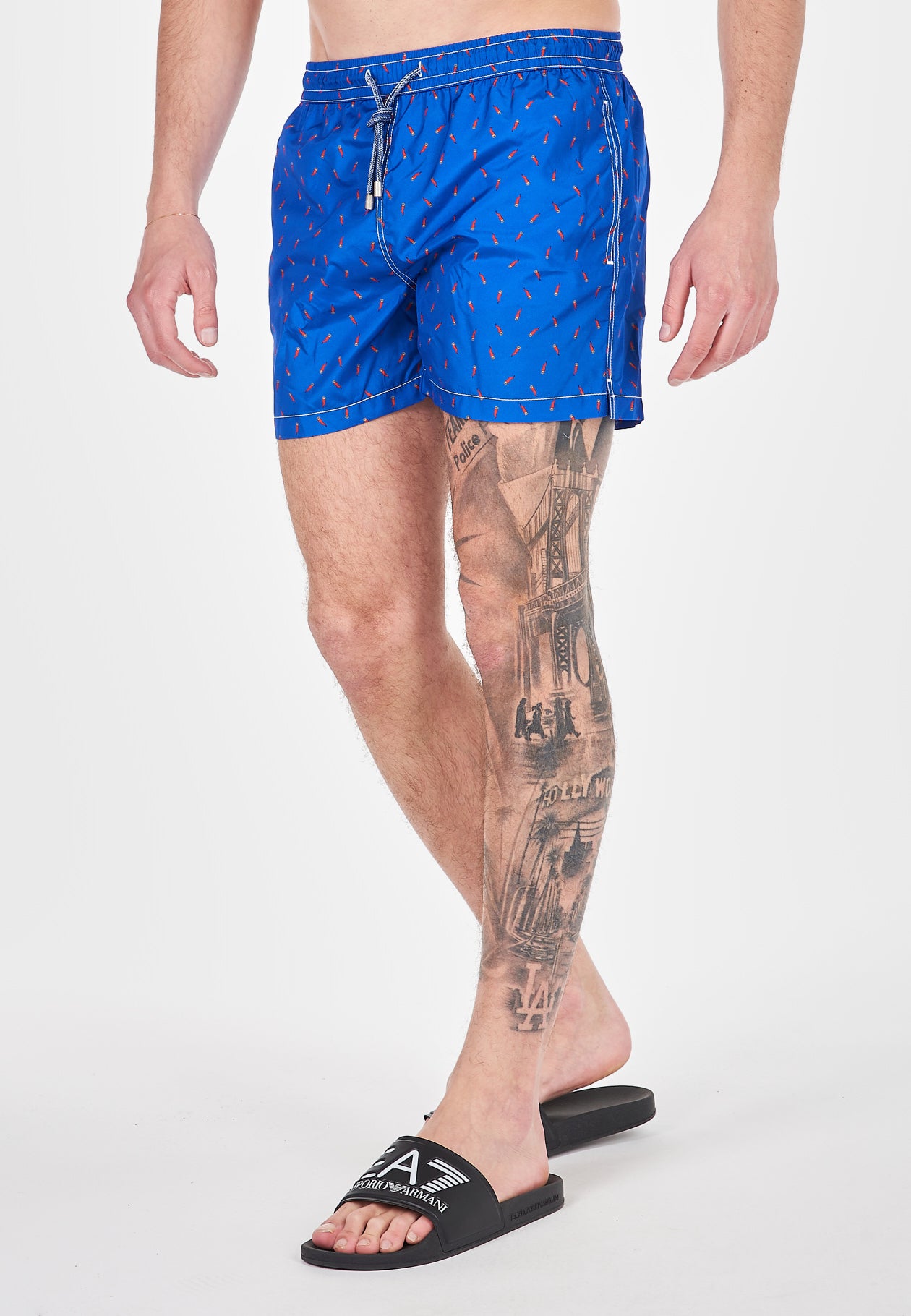 Boxer Mare Capri