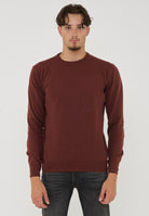 Pullover Girocollo Crew Basic Man Vicugna 