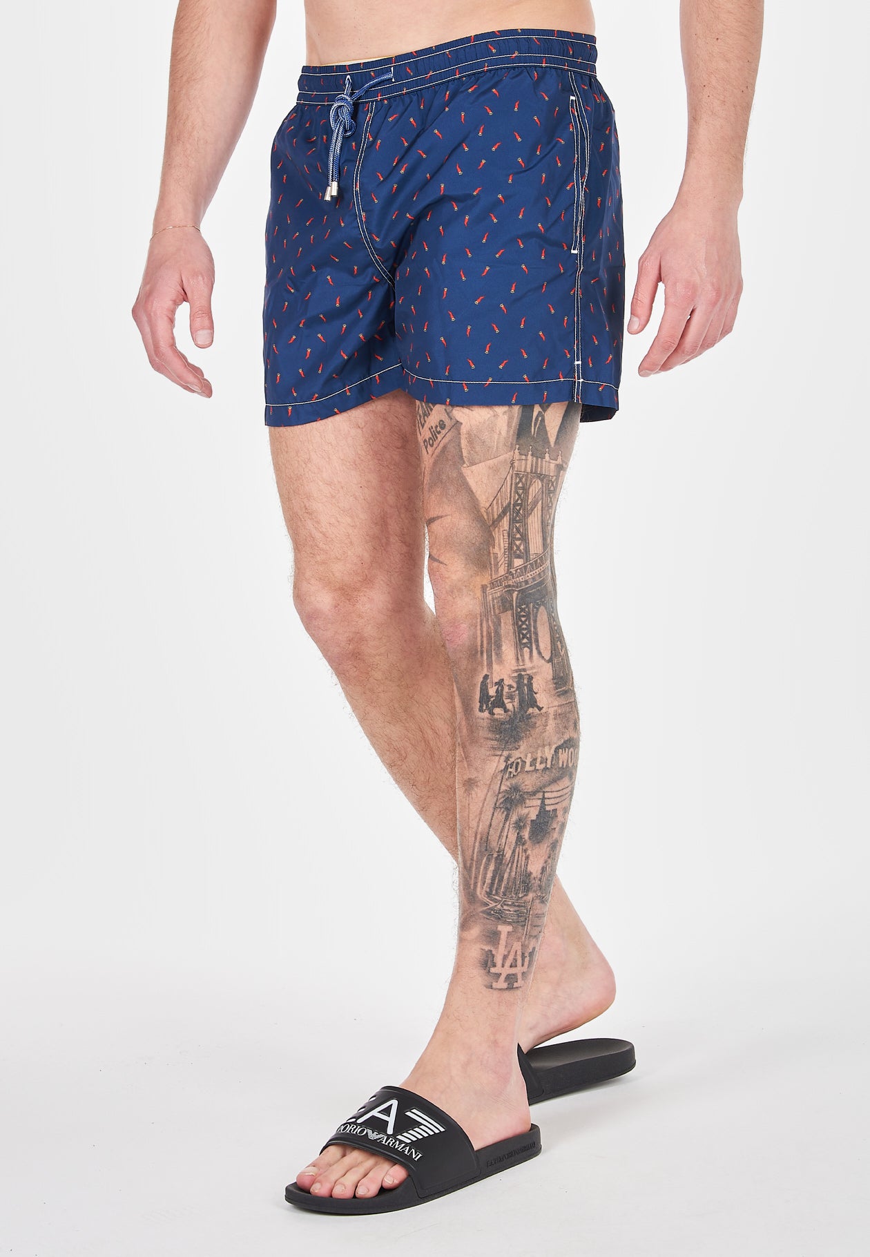 Boxer Mare Capri 