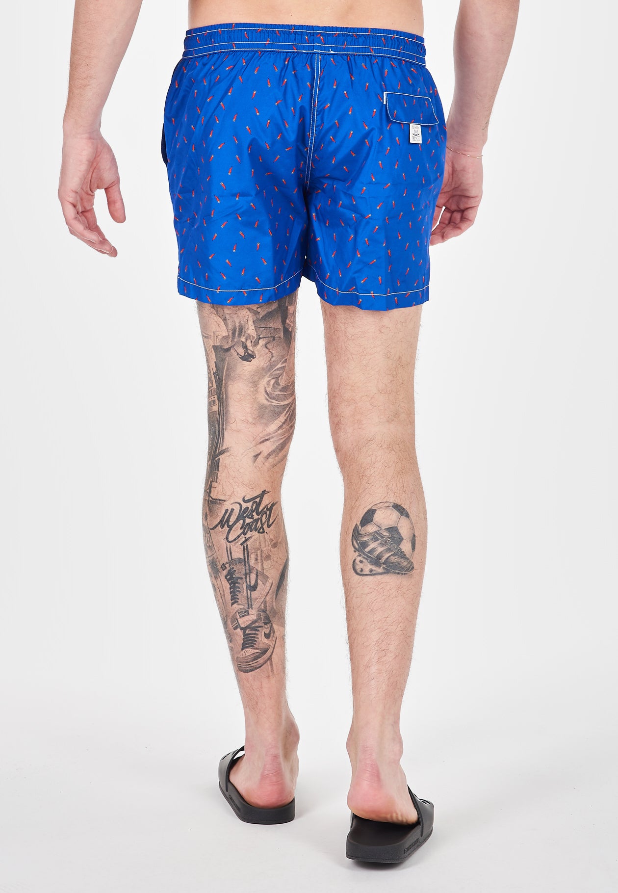Boxer Mare Capri 