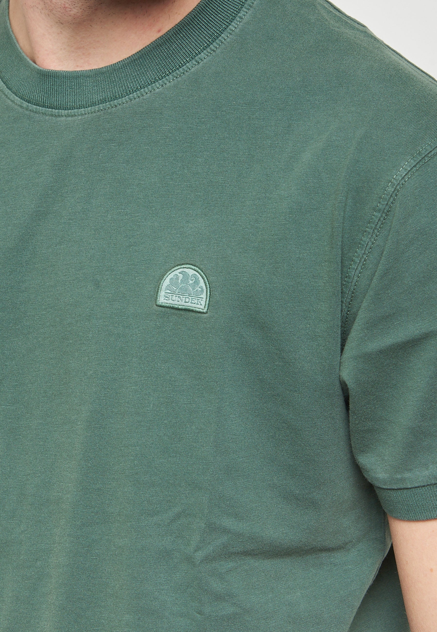 T-Shirt New Dey Girocollo Tinto Capo Con Logo Pine 01 