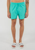 Costume Shorts Essential Emerald 