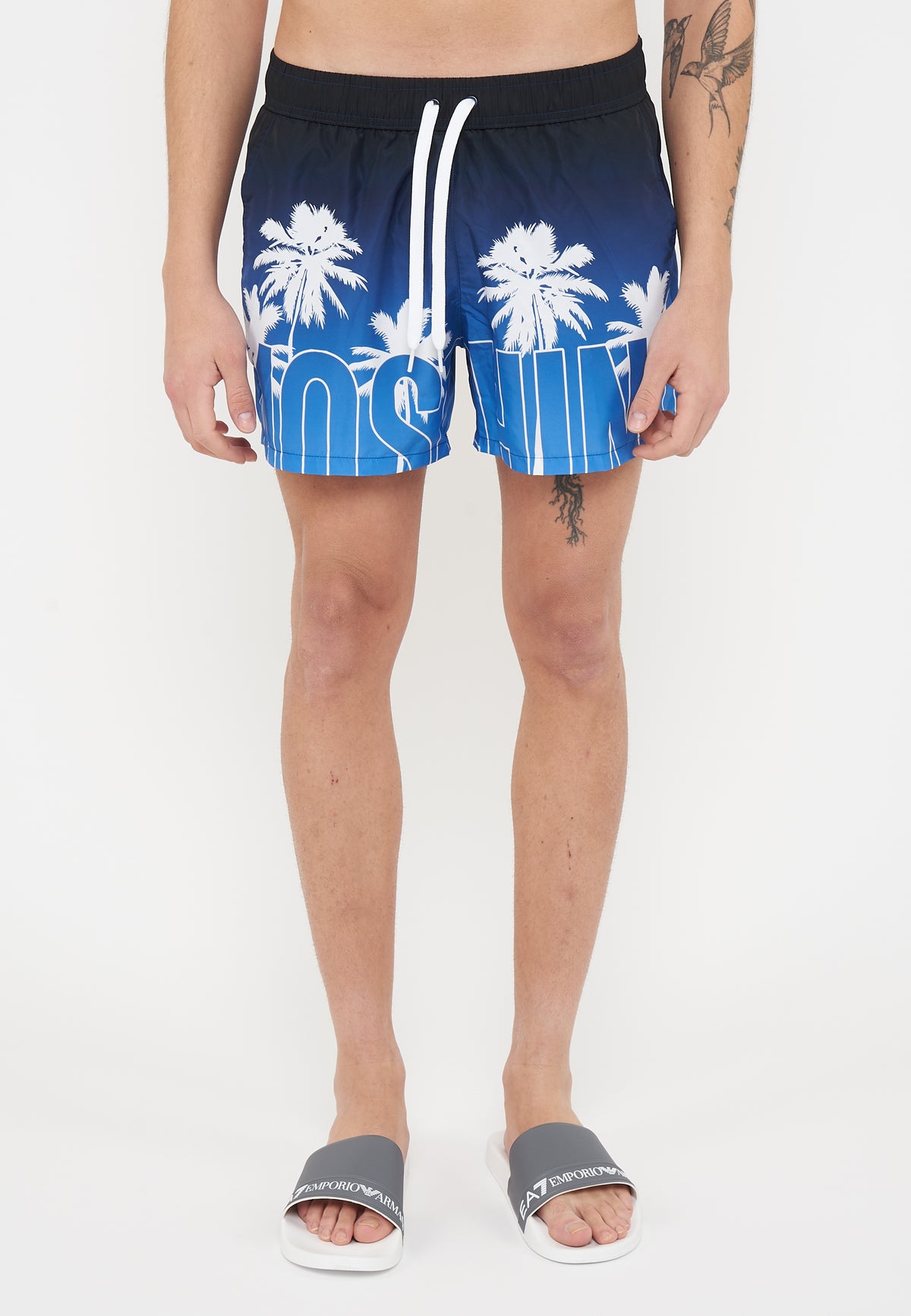 Boxer Mare Fantasia Logo Blue 