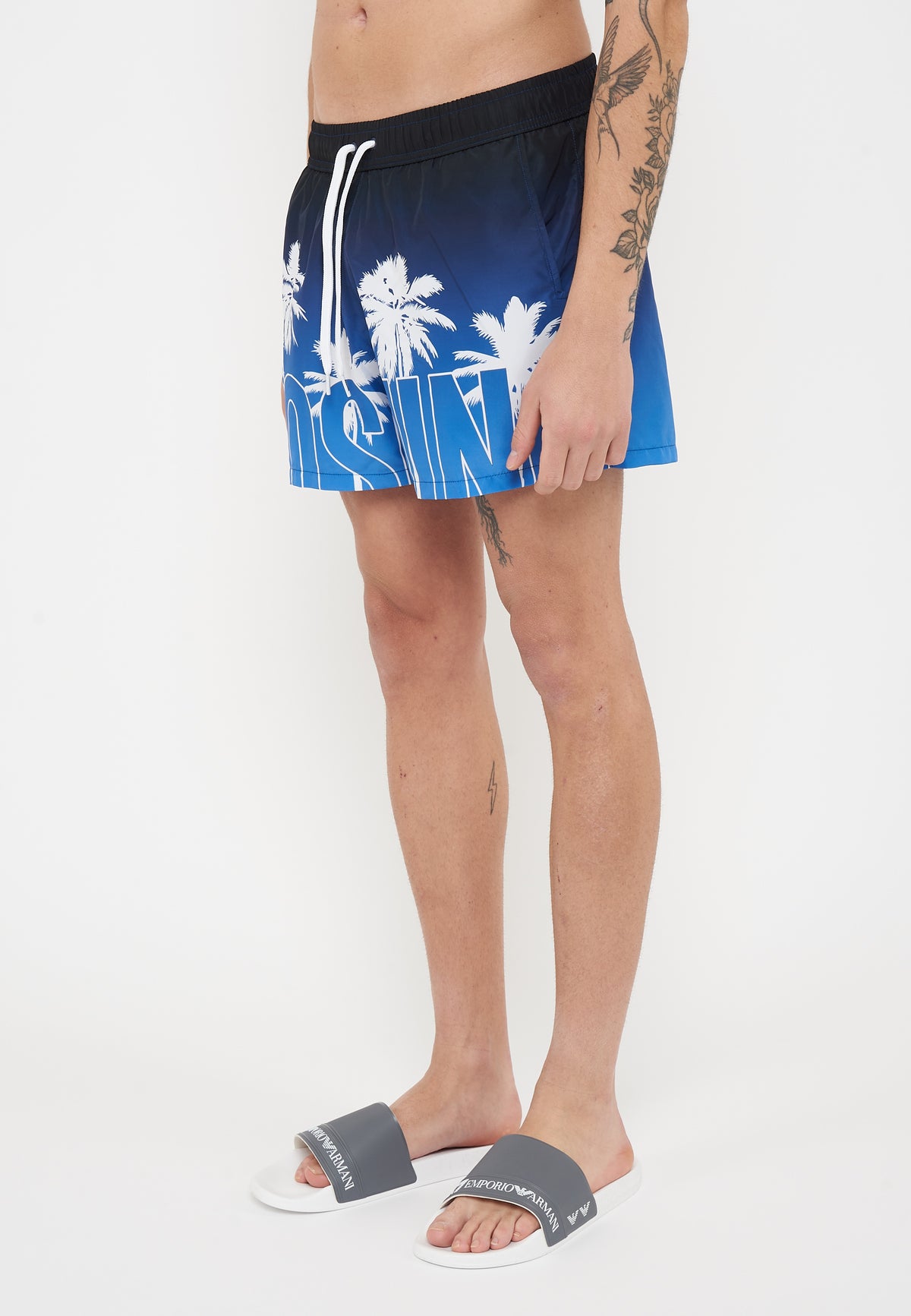 Boxer Mare Fantasia Logo Blue 