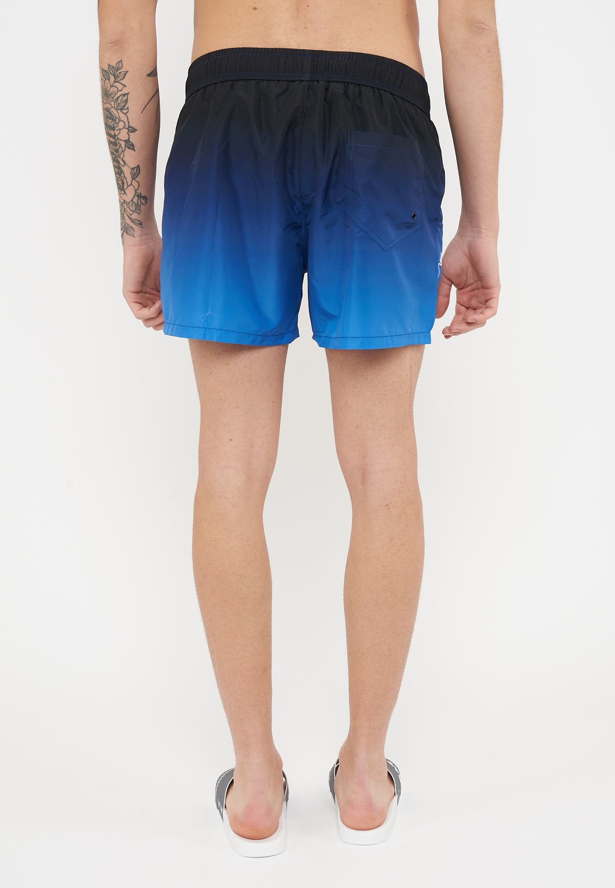 Boxer Mare Fantasia Logo Blue 